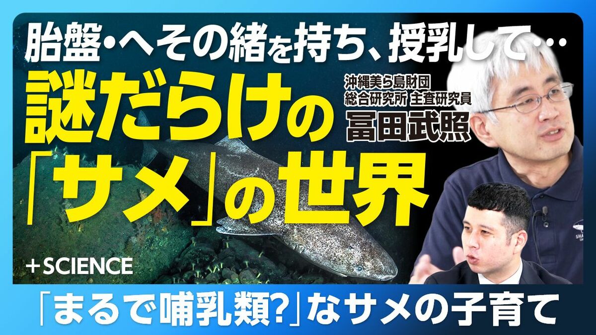 【光るサメ、400年生きるサメ…多種多様なサメの世界】