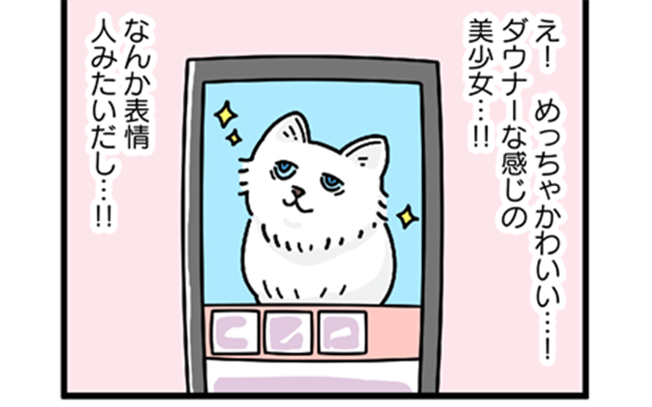 すごく可愛いし 飼いたくなったけど 保護猫の譲渡会で代イラストレーターが感じたこと 文春オンライン