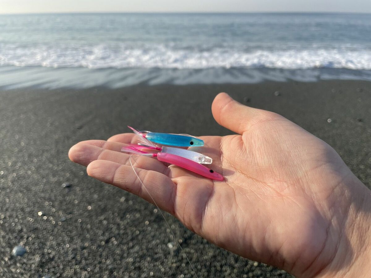 漁師が作る弓角天然貝3種セット① 漁師が作る弓角天然貝3種セット①