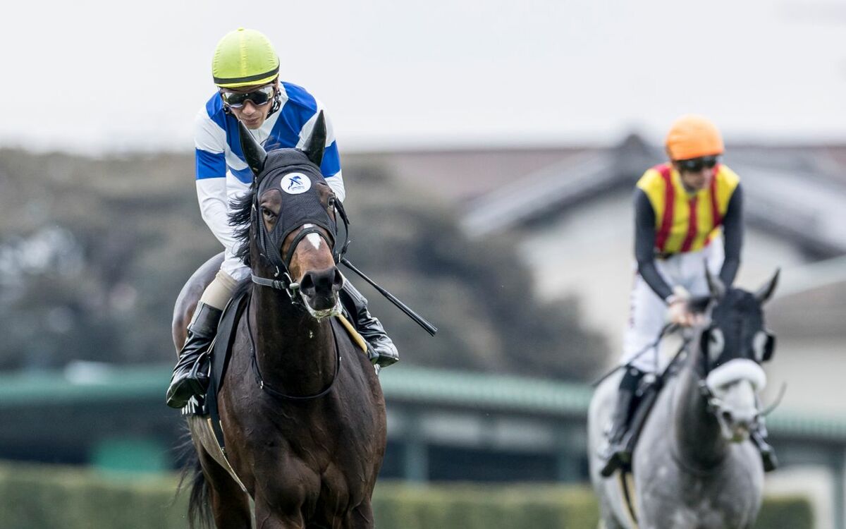 「有馬記念で、日高の馬で勝つ」馬主もいろいろ。だから競馬は楽しい！――亀和田武「テレビ健康診断」 | 文春オンライン