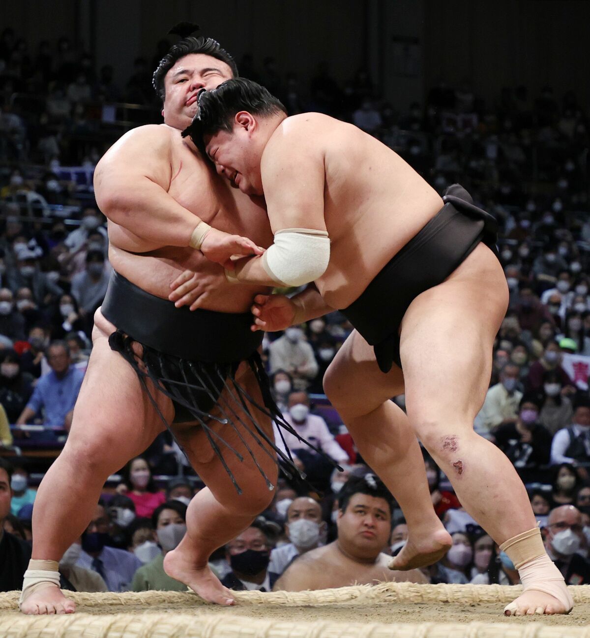 相撲界の常識を壊す安治川親方の手腕!最新育成法と部屋運営の全貌
