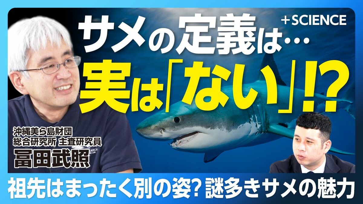 【「定義不可能」常識が覆るサメ研究の現在】