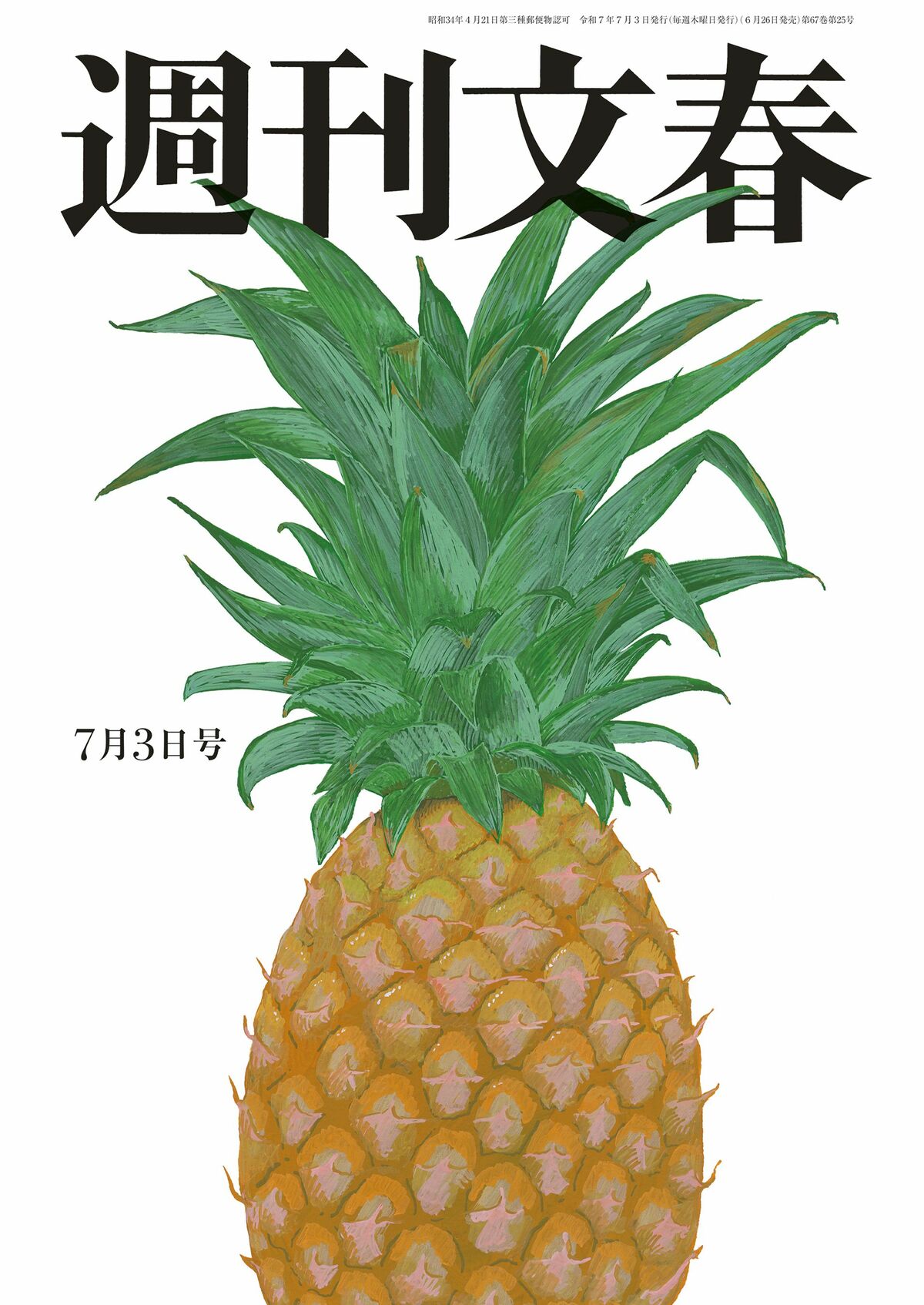オブツーサ錦 混合種子 令和7年産 注文よろしくお願いします