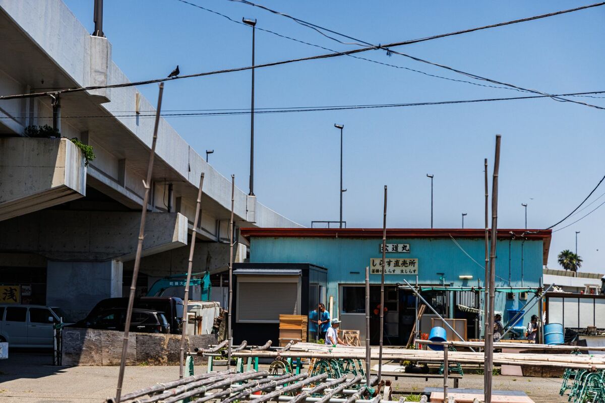 [写真](12ページ目)東海道本線“ナゾの湘南発祥の駅”「大磯」には何がある？ 文春オンライン