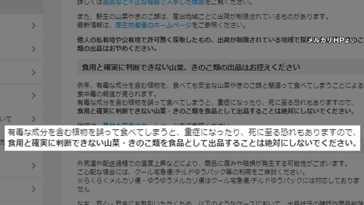 [写真]「死に至る恐れも」メルカリが“キノコ”出品に異例の呼びかけ 専門家「画像で毒キノコ判定は困難」 | 文春オンライン