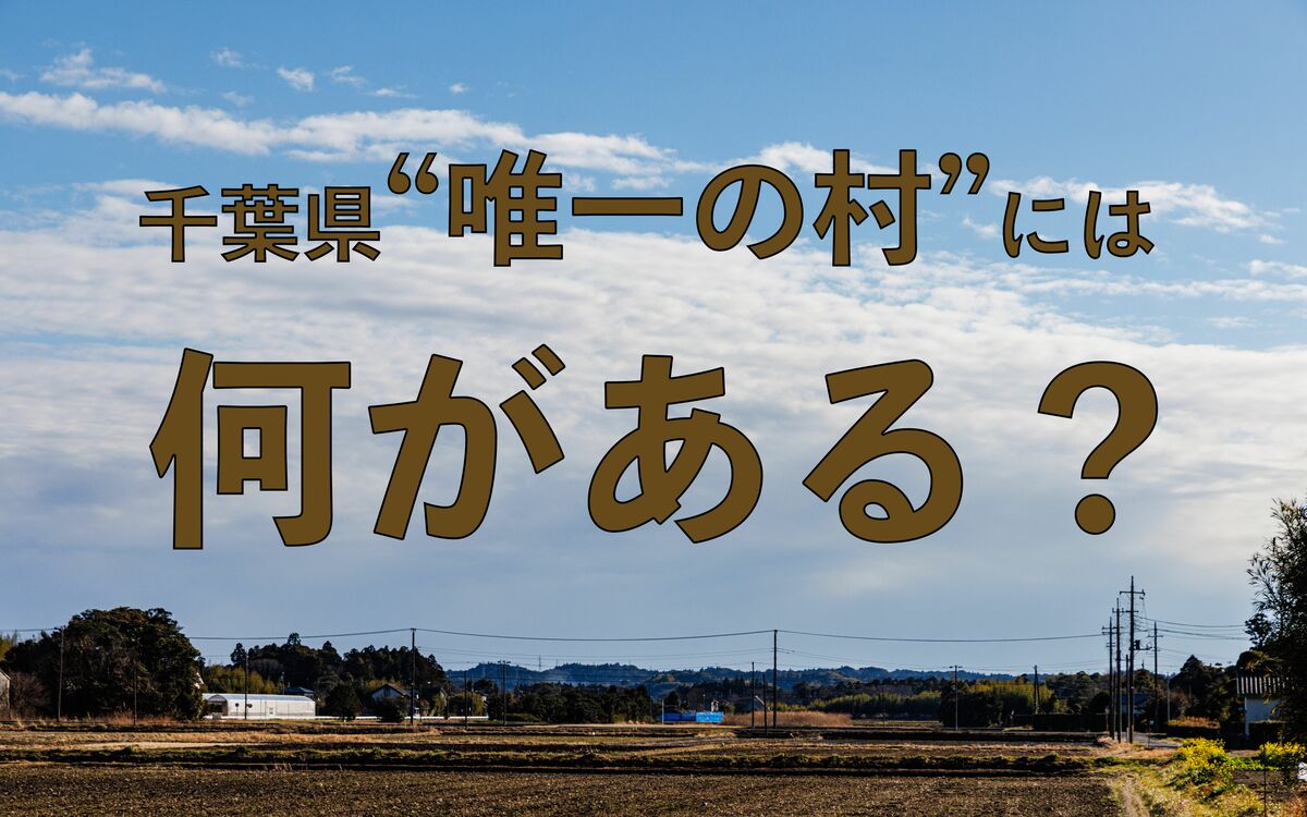 千葉県“唯一の村”「長生村」には何がある? 文春オンライン