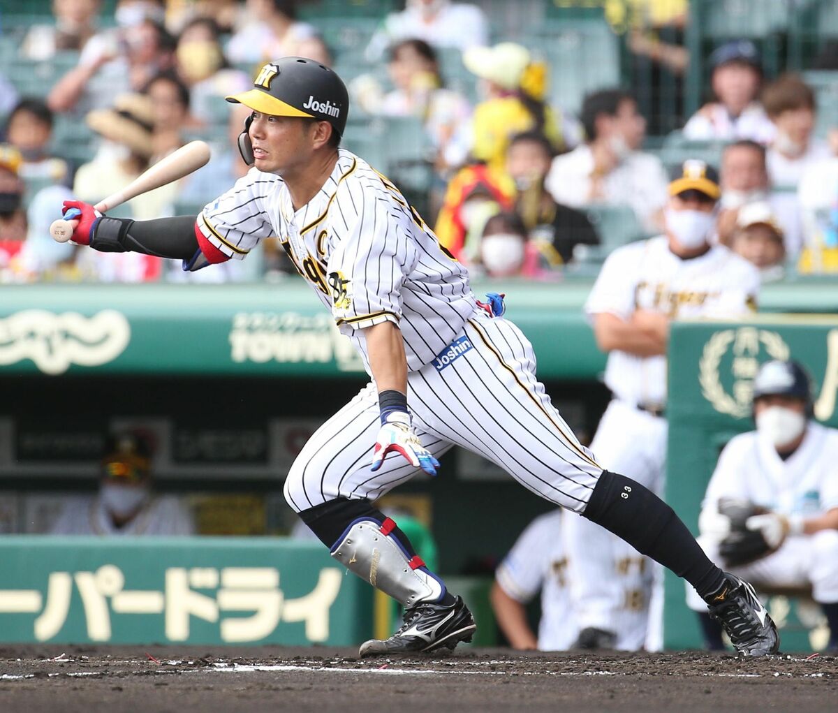 阪神　糸原健斗ユニホーム 阪神タイガースチャンピオンユニホーム 糸原健斗 MIZUNO 阪神