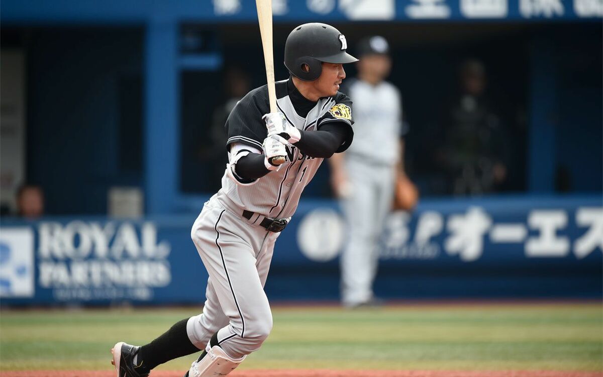 img_a0e9add6f80d2832670a429985