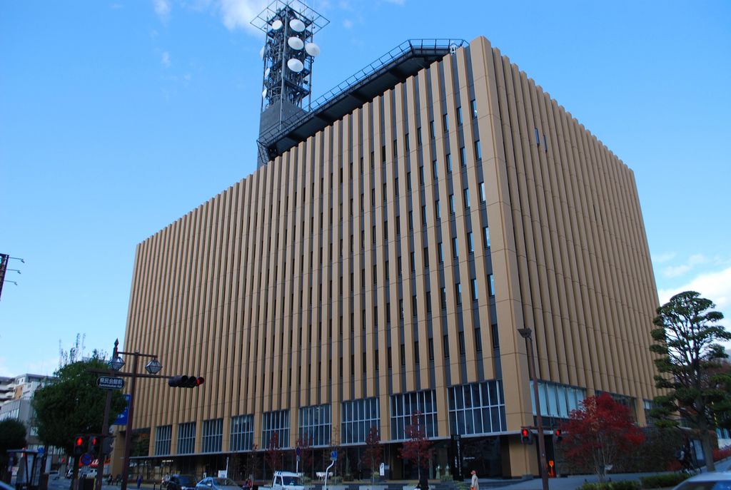 傷害容疑で19歳少年逮捕 甲府市住宅全焼の放火もほのめかす 文春オンライン