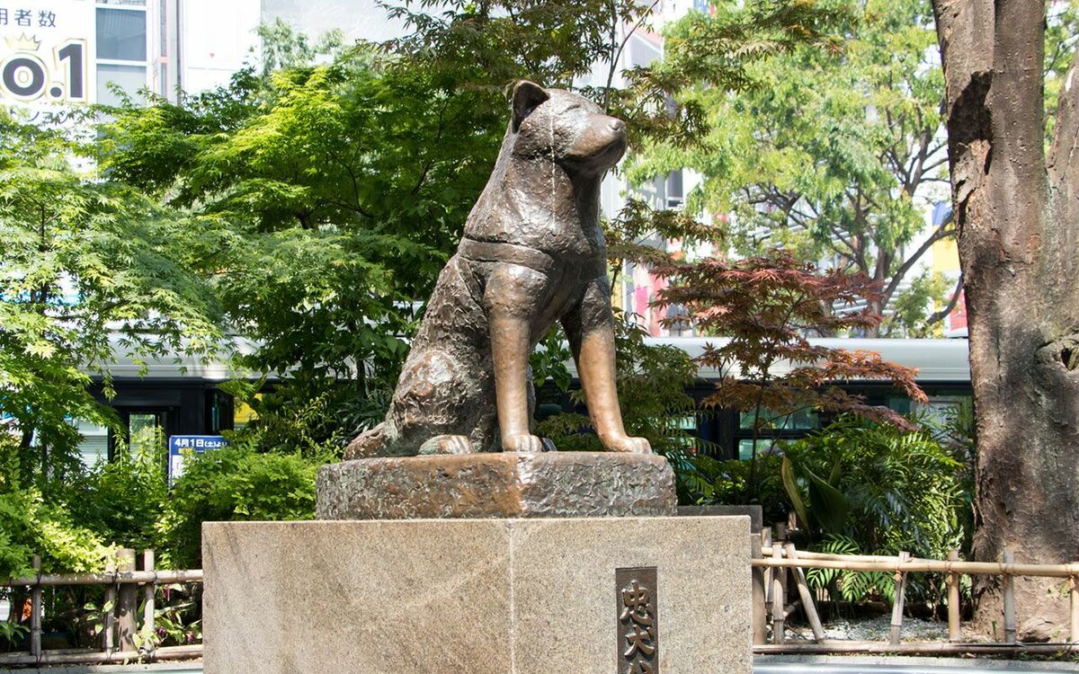 渋谷のハチ公はなぜ「日本一の待ち合わせ場所」になったのか？ 再開発