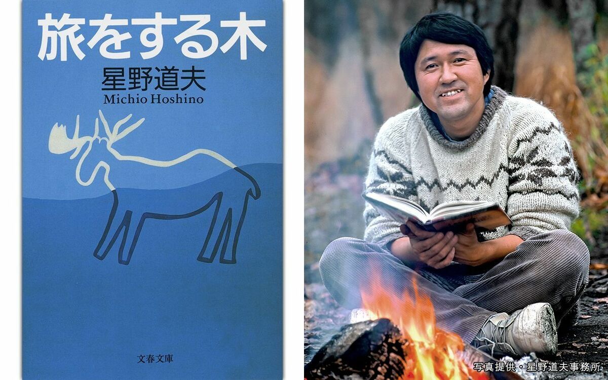 【没後30年】星野道夫のエッセイ集『旅をする木』がもたらした、新しい出会い | 文春オンライン