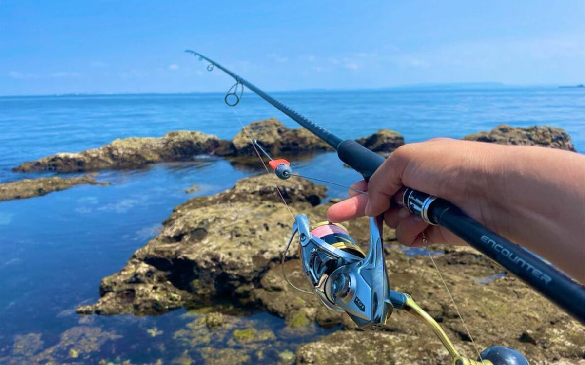 驚きの魚影の濃さ、想定外の釣果…! 横須賀からたった10分の“東京湾唯一の無人島”で釣り上がった“竿をぶちまげる大物”の正体とは | 文春オンライン
