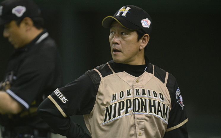 img_b00b7deaa419a78cd2632f53dd