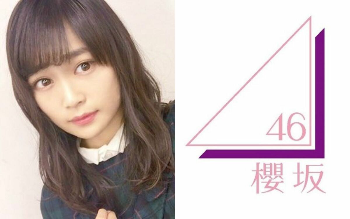 未使用品 欅坂46 けやき坂46 のぼり 個人のぼり 渡邉理佐 欅坂46 個人のぼり けやき坂46 石森 虹花 横断幕