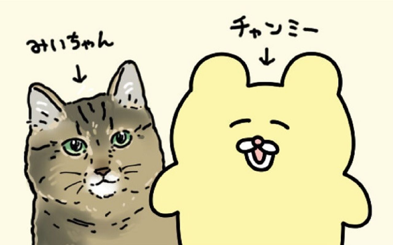 空き地の土管に子猫がいっぱいいて マンガみたいな猫の拾い方をした作者が 猫マンガを描くまで 文春オンライン