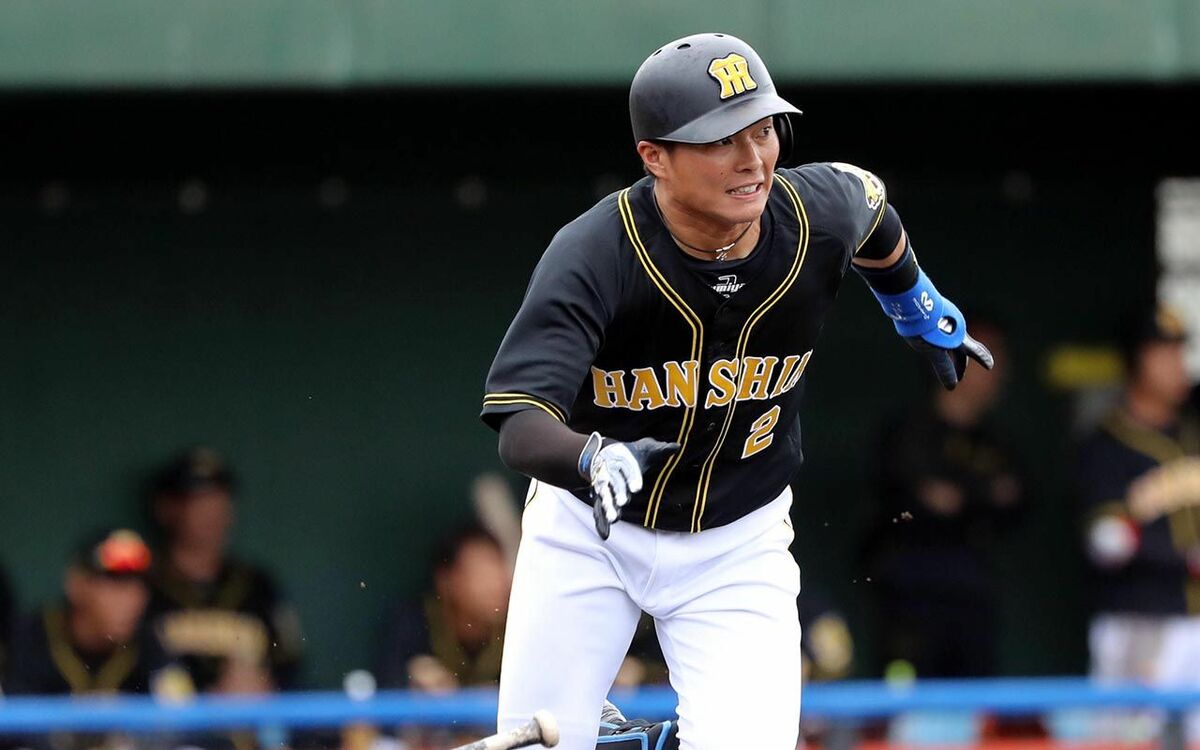 img_b9e116e6210b1638e224ec86c5