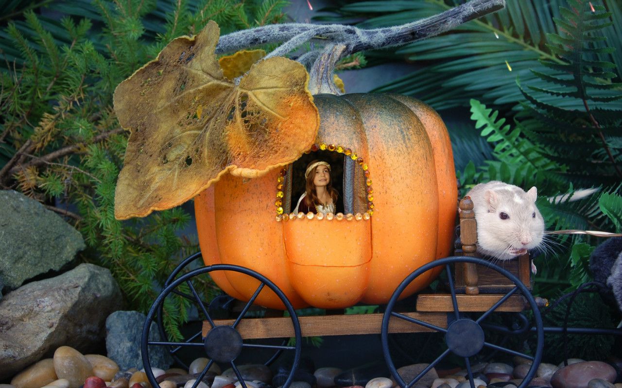 童話ではない 現代版 かぼちゃの馬車 の落とし穴 文春オンライン