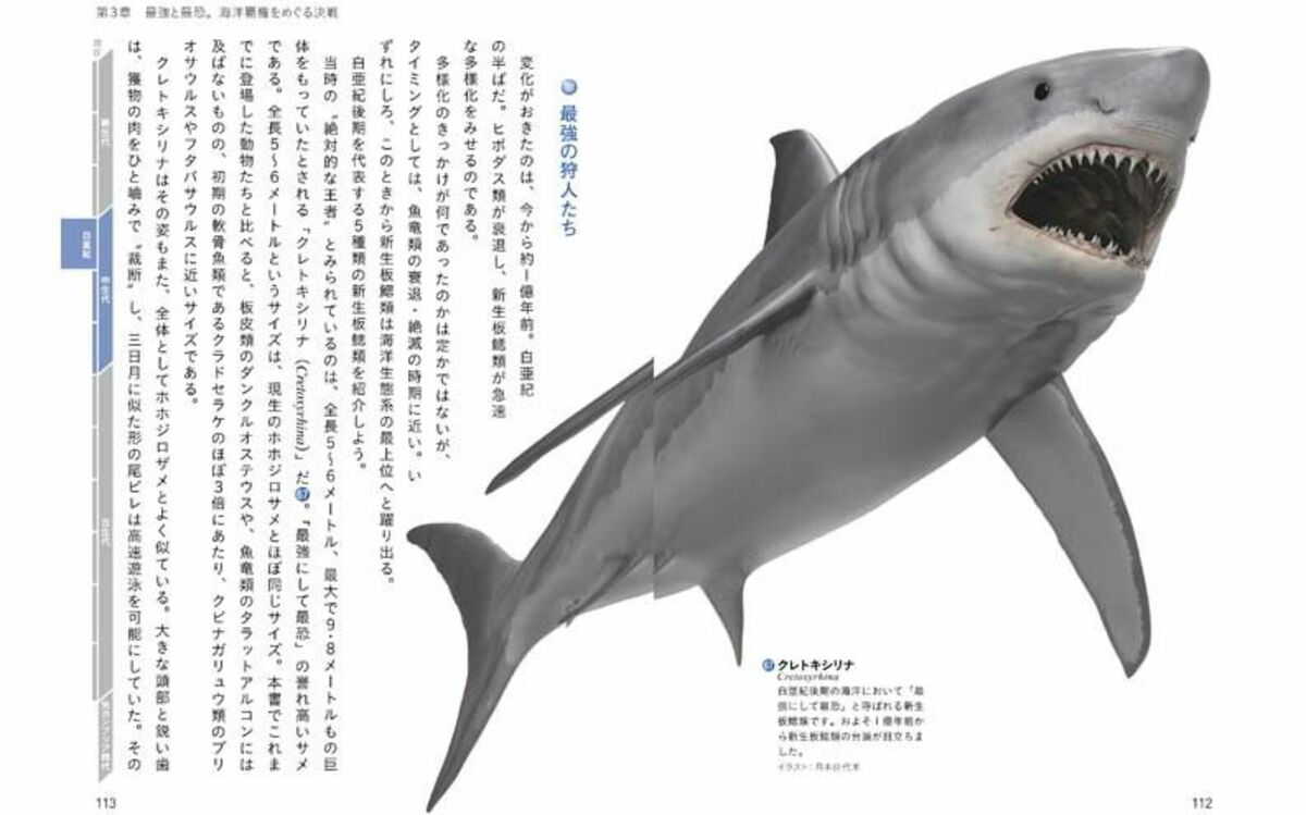 サメたちはなぜ 4億年もの 超長期政権 を維持できたのか 文春オンライン