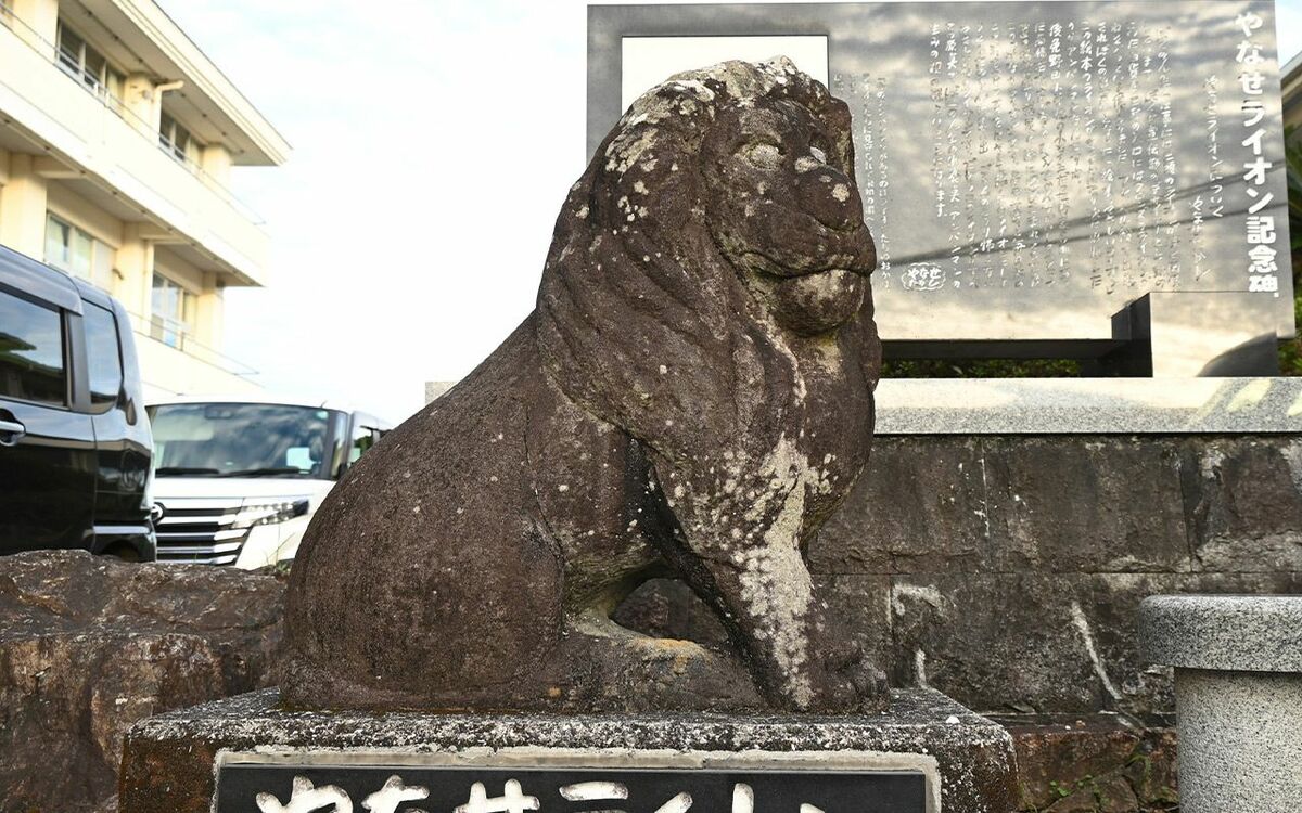 (2ページ目)漫画家やなせたかしさんの「原点」とされるライオンの石像。故郷の高知県南国市の柳瀬医院跡地に放置されていたが、ナゼ“発見”されたの ...