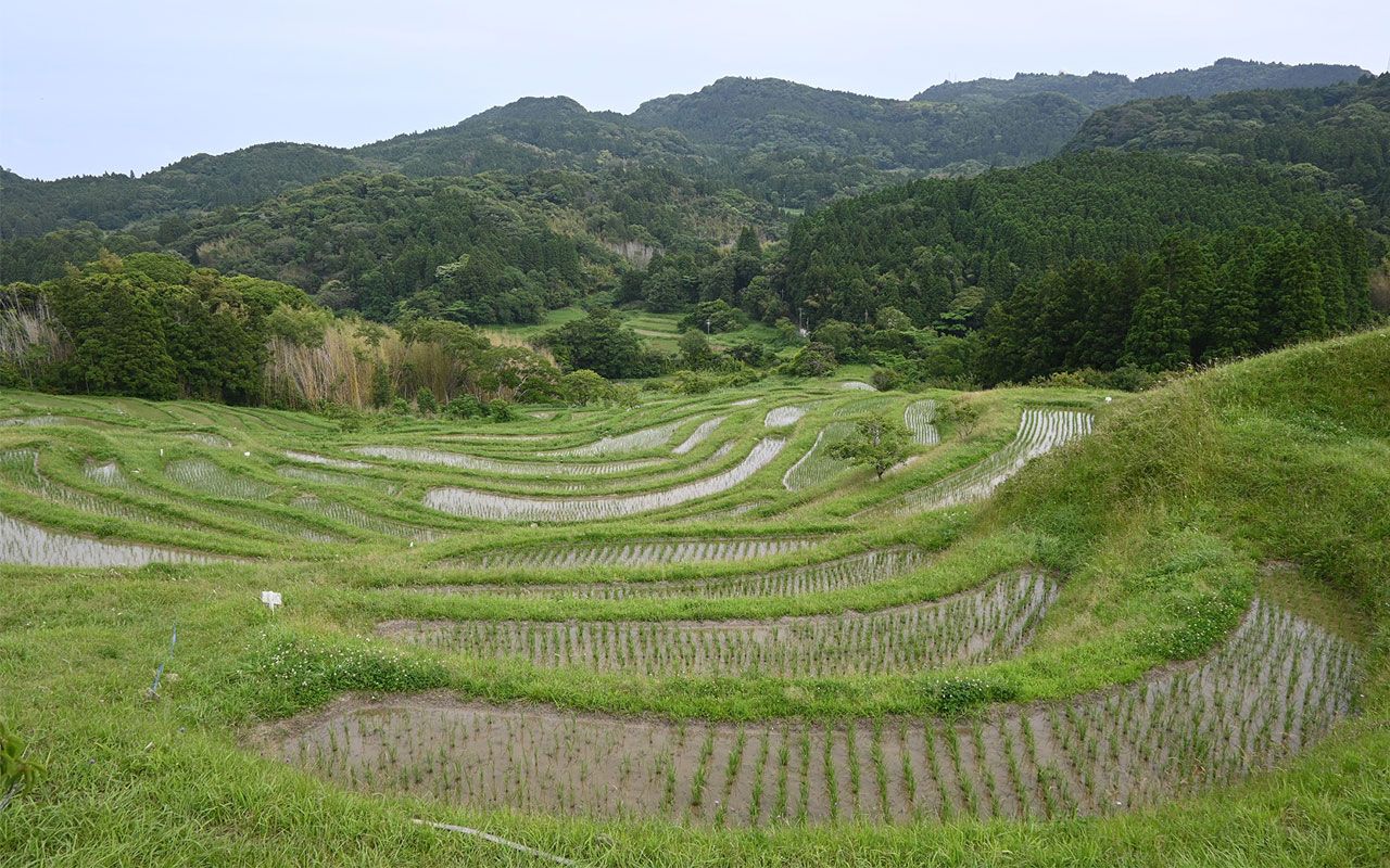 東京から90分 シン エヴァ 第3村のモデルになった 絶景すぎる棚田 へ行ってみた 文春オンライン