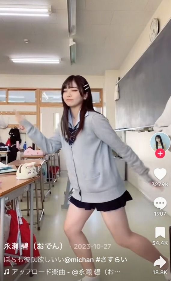 [写真](22ページ目)「スカー …