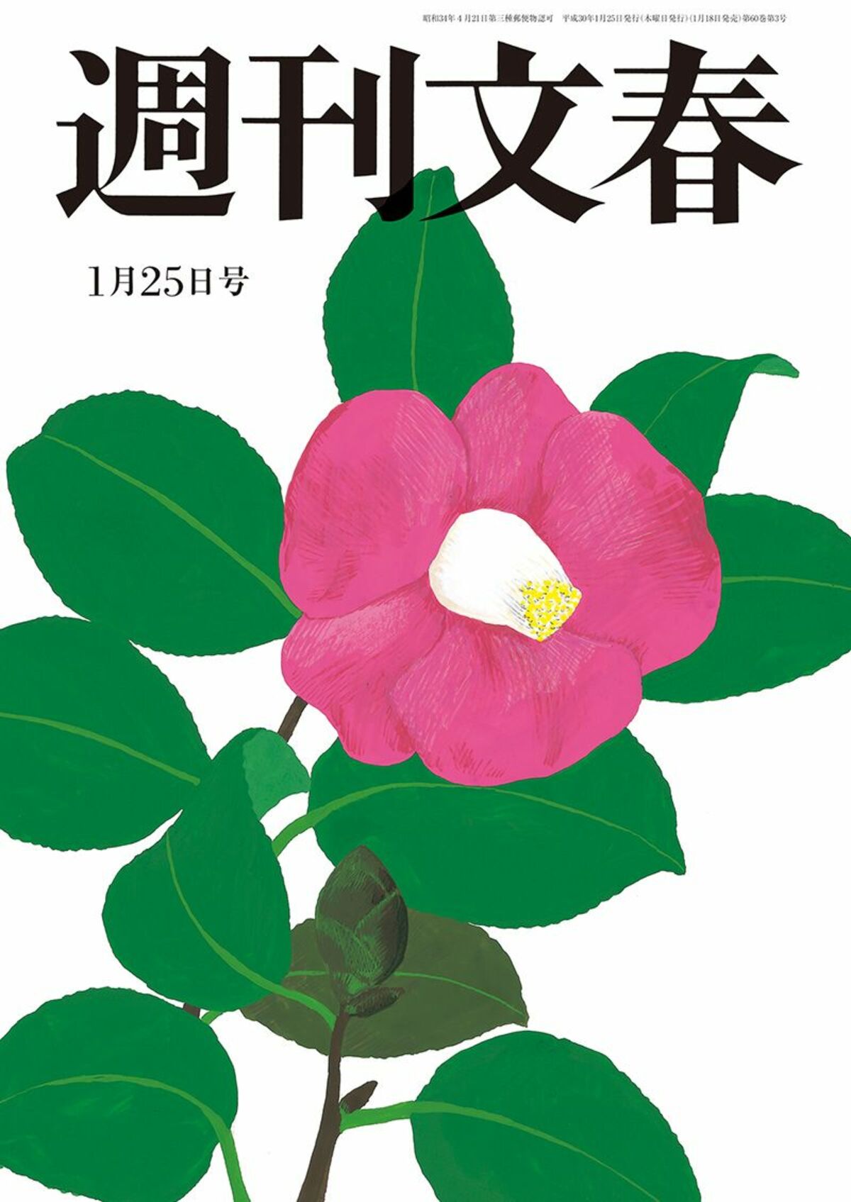 衝撃スクープ 白鵬が極秘接触する八百長キーマン 18年1月25日号 週刊文春 文春オンライン