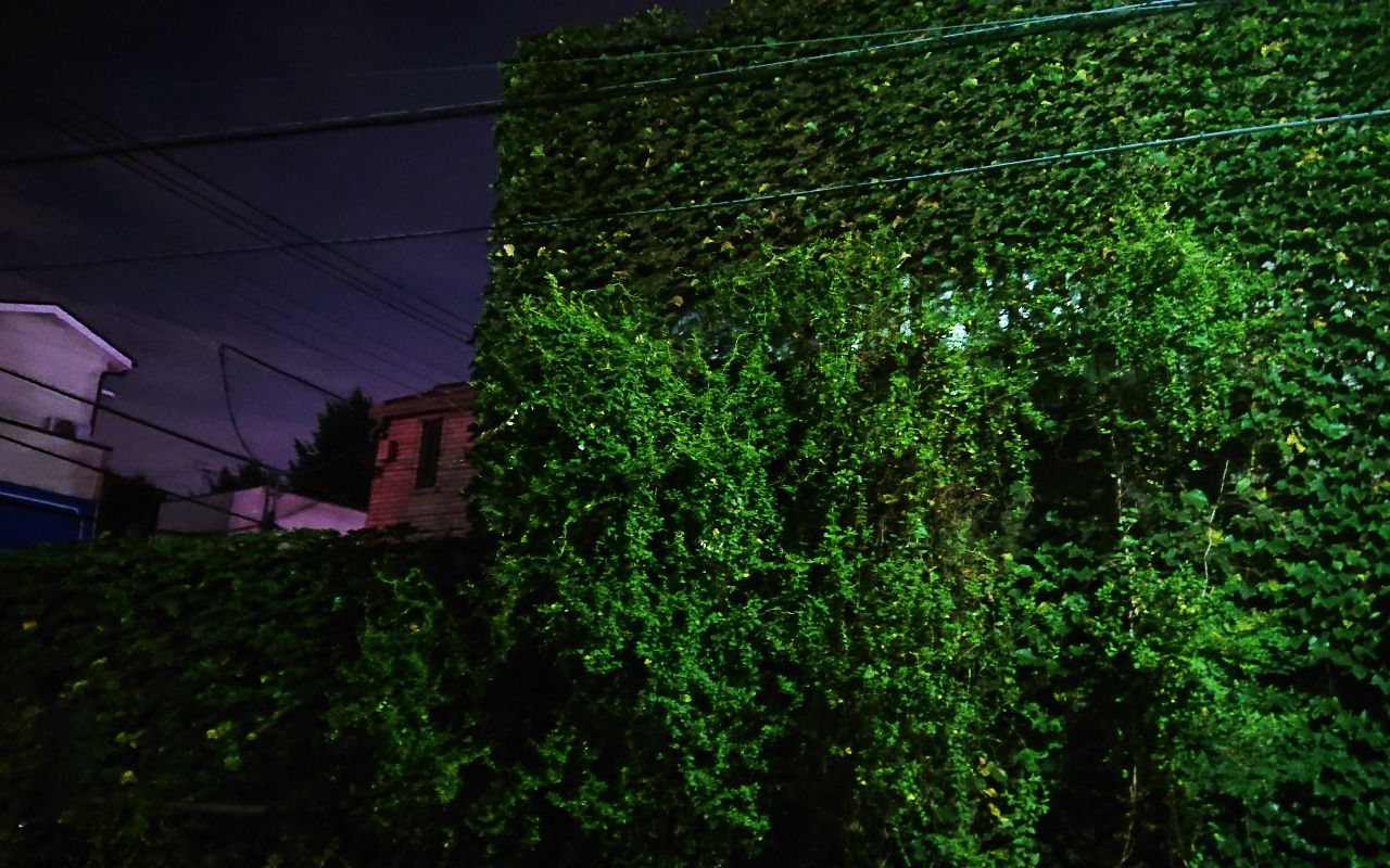 築古ボロ戸建てリフォーム投資の恐怖 江戸川区駅徒歩7分で0万円の激ヤバ物件を購入してみると Best5 文春オンライン