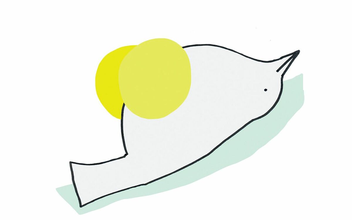 植物の魅力を散歩で楽しむ春の提案