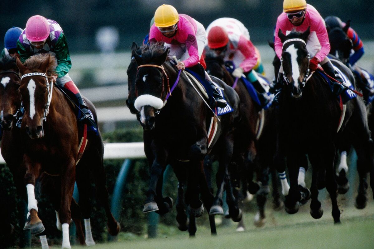 キラ 美品 シンボリルドルフ ヒダカホースカード 1985年 有馬