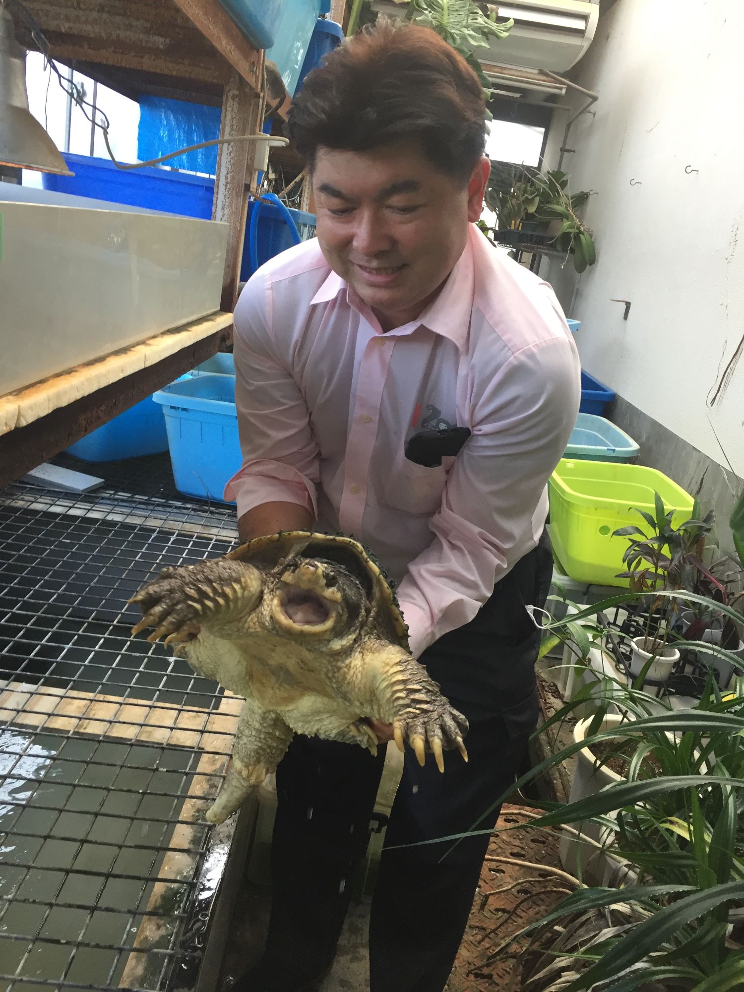 [写真](14ページ目)都市に潜むニシキヘビ、巨大トカゲ、ワニ……ガサ入れで押収された「危険なペット」たち 文春オンライン