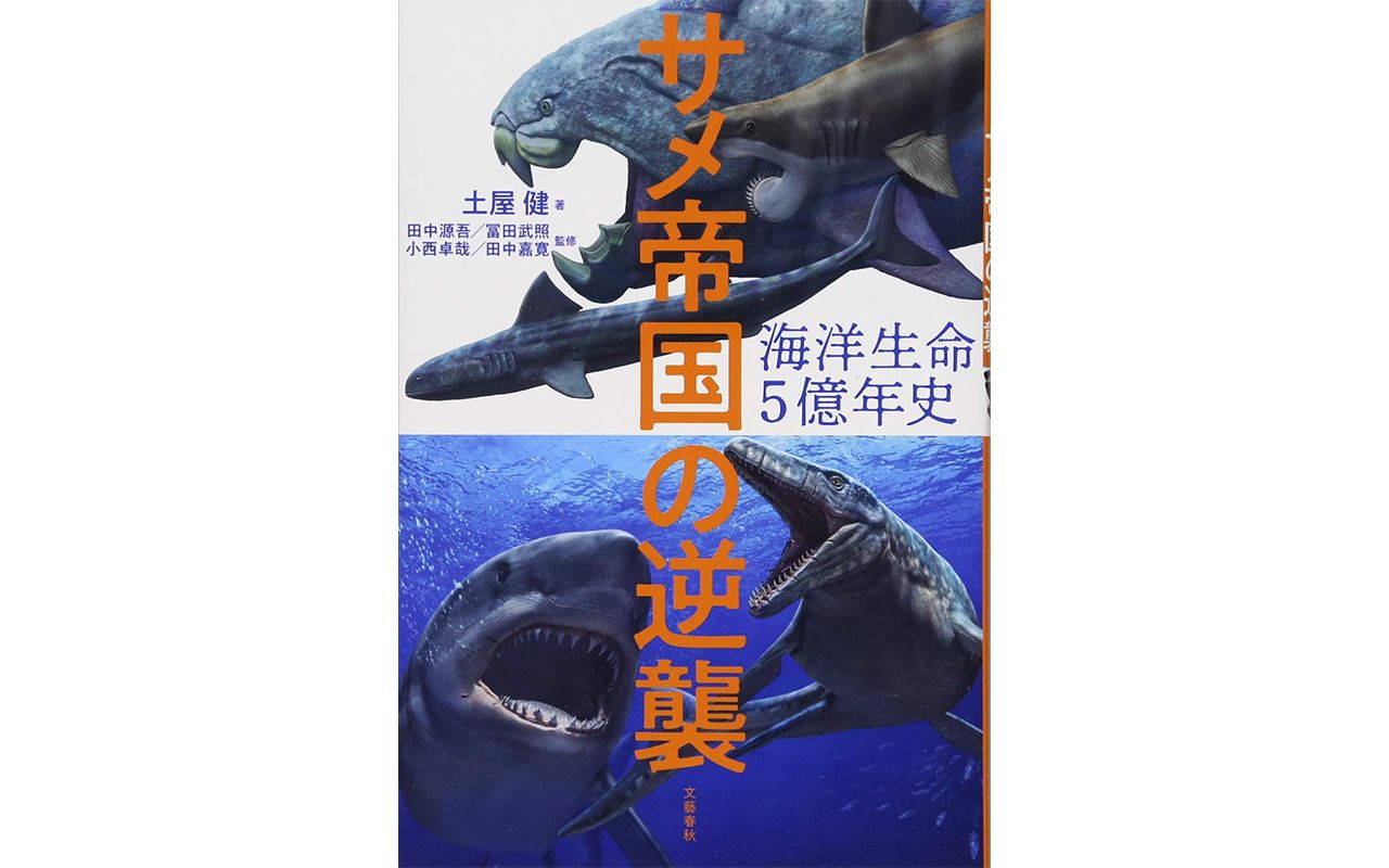 サメはなぜか女性に人気 謎多き海の古生物の魅力に迫る 文春オンライン