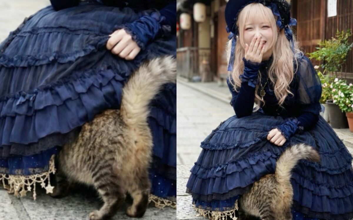 「48歳ってマジ！？」猫がスカートの中を覗き見する投稿が大バズリ⋯ゴスロリ美少女の“驚きの正体”「度肝を抜かれる」 | 文春オンライン