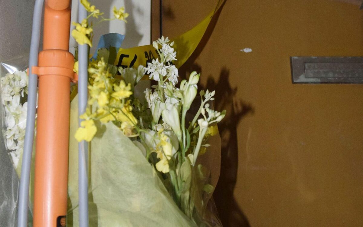 足立 共同 区営 団地 日焼け 少女 わいせつ 映像