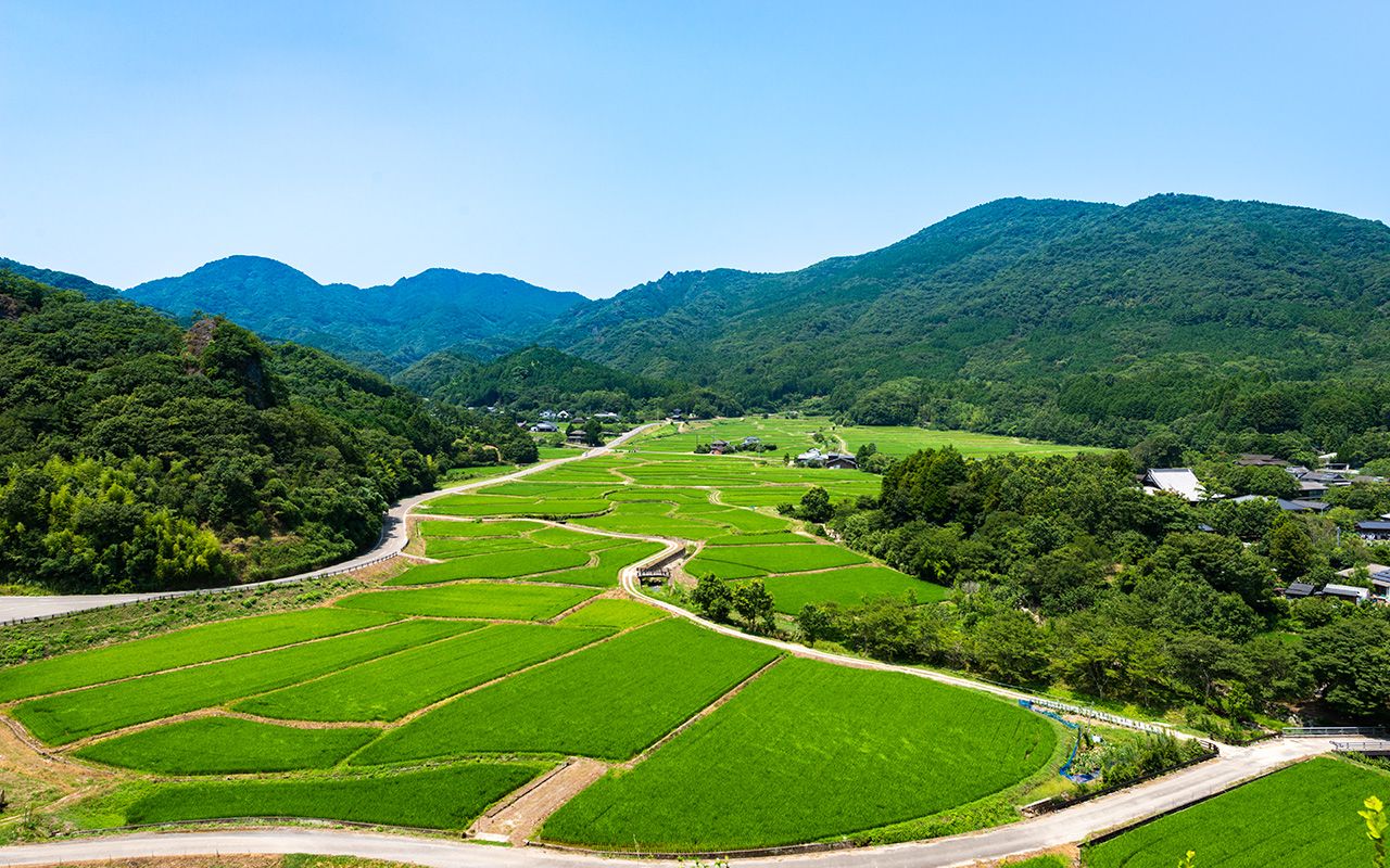 女の子の仏壇と遺影あったじゃん 薄暗い山中でなぜか 蝉の鳴かない 一画 その恐怖のワケとは 夏に読みたい 怖い話 文春オンライン