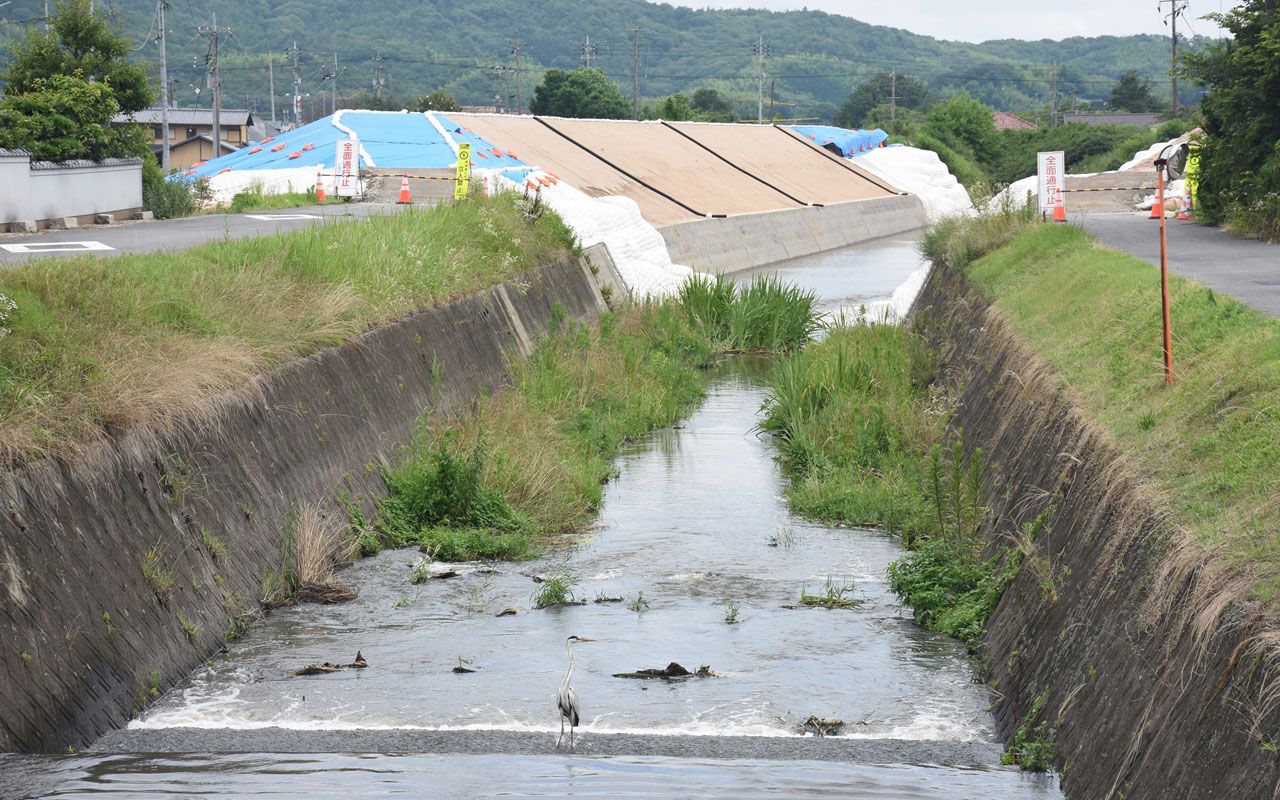 4ページ目 うちは逃げるよ あのとき 避難はsnsで始まっていた 西日本豪雨から1年 知られざる教訓 文春オンライン