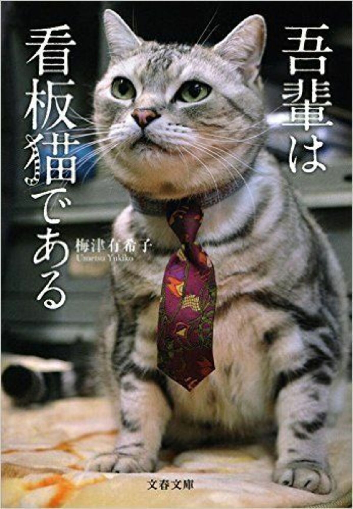 足で探した昭和レトロな22軒 看板猫の取材は人間の都合お構いなし 文春オンライン 足で探した昭和レトロな22軒 看板猫の取材は人間の都合お構いなし 文春オンライン
