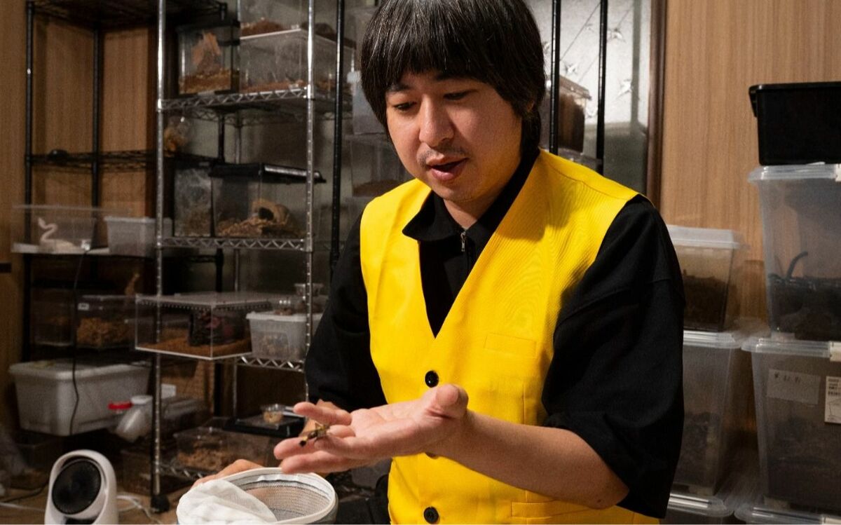 画像が削除されました