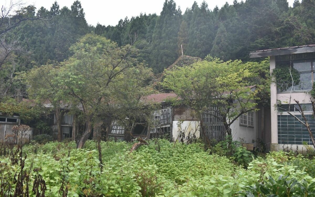 「すごい香りがする」北海道の廃村で、朽ちた小学校に足を踏み入れた探索者たちを驚かせた“異臭の正体” | 文春オンライン