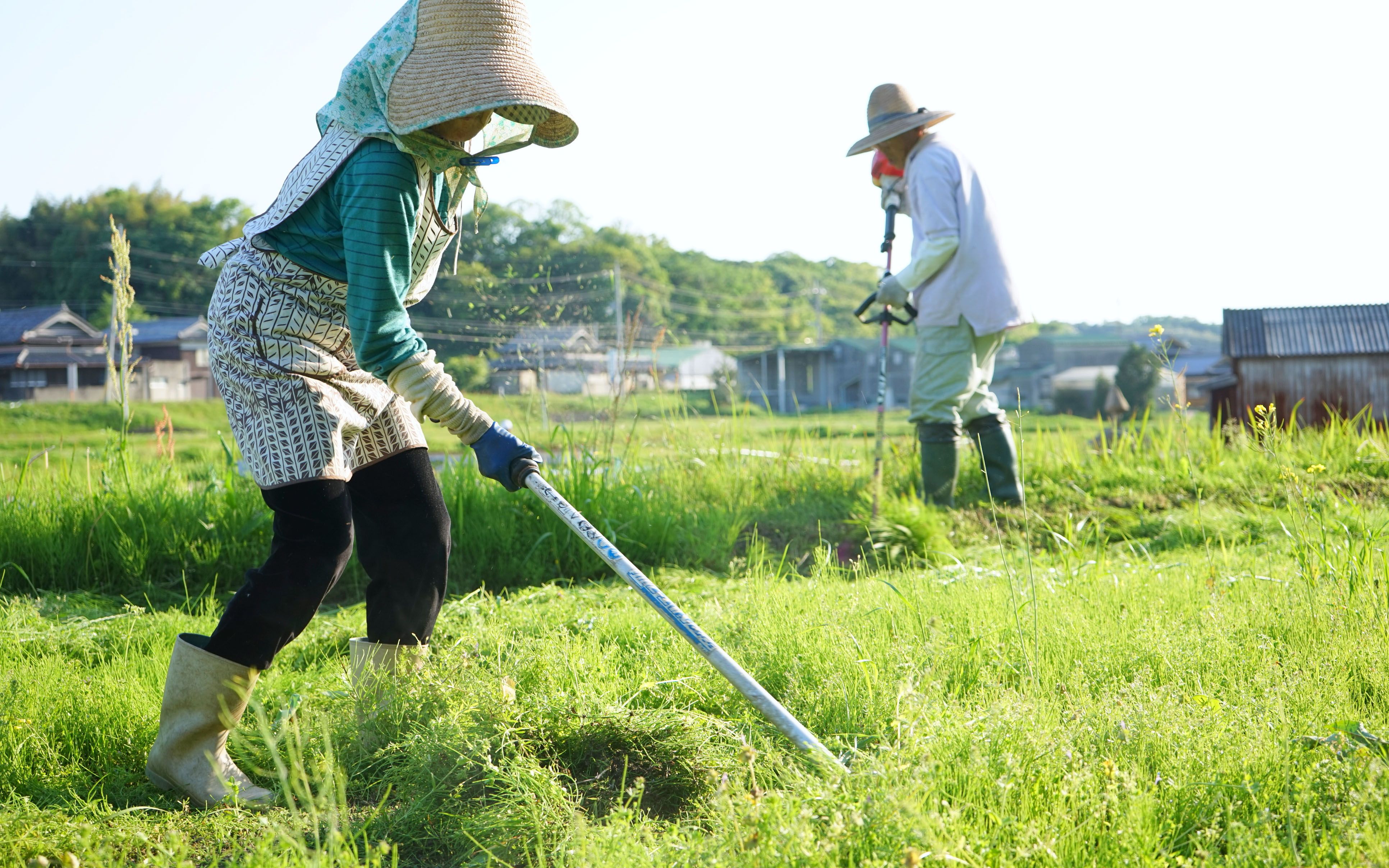 何年も経ってから障害が 農薬大国 日本の現実 見えない毒性 から身をも守るためには 文春オンライン